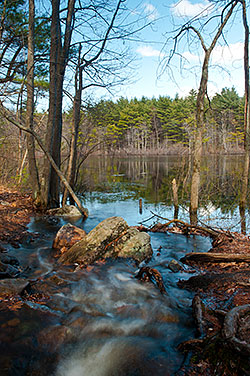 Harold Parker State Park, Andover MA Harold Parker State Park, Andover MA